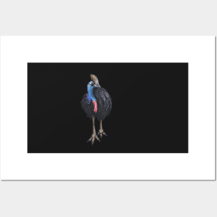 Southern Cassowary Posters and Art